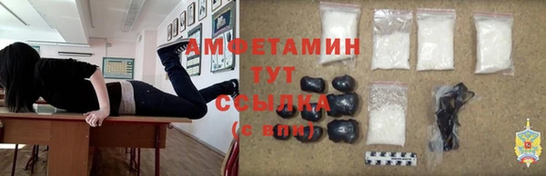 шишки Беломорск