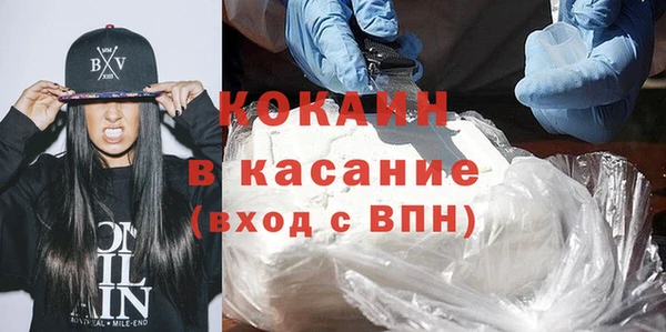 шишки Беломорск