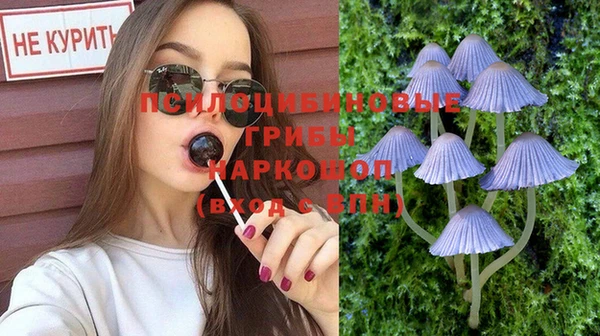 кокс Баксан