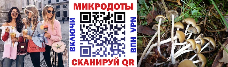 Галлюциногенные грибы Psilocybe  darknet официальный сайт  Новоалександровск 